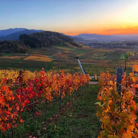 Paradies 2 Castellberg-jakobsweg Döttingen
