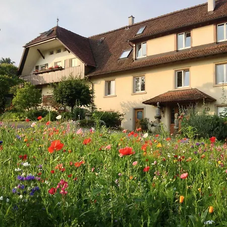 Paradies 2 Castellberg-jakobsweg Διαμέρισμα Döttingen